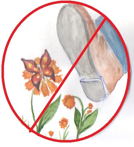 Нельзя рвать цветы