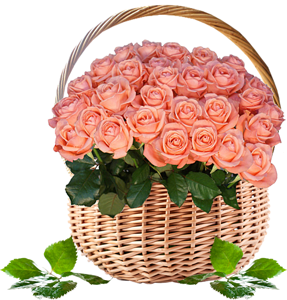 Корзина роз на прозрачном фоне