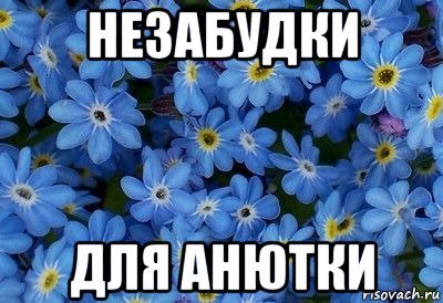 Незабудки для Анютки