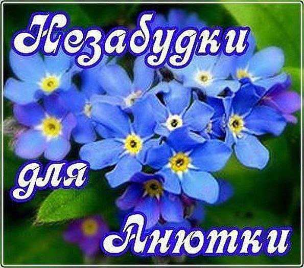 С днём рождения Анюта