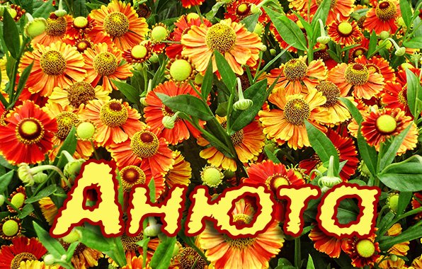 Цветы для Анечки