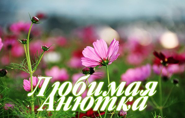 Доброе утро любимая Анечка