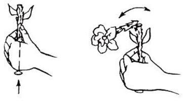 Цветочный горшок для фокуса