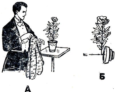 Карточные фокусы