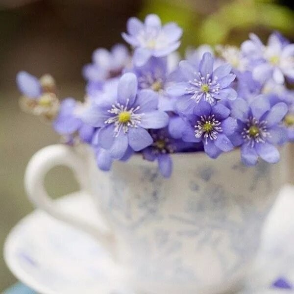 Светлого и яркого дня