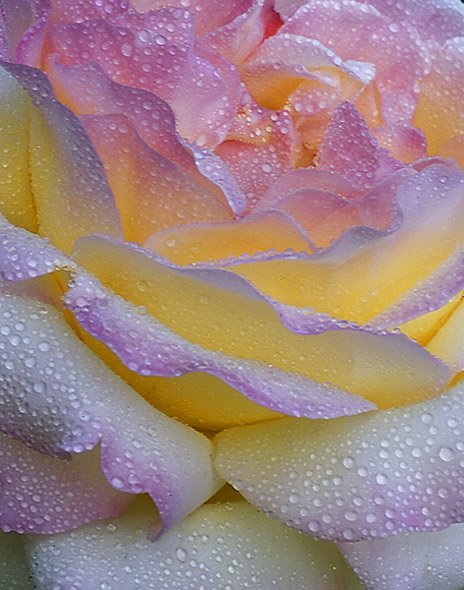 Красивые переливы цветов