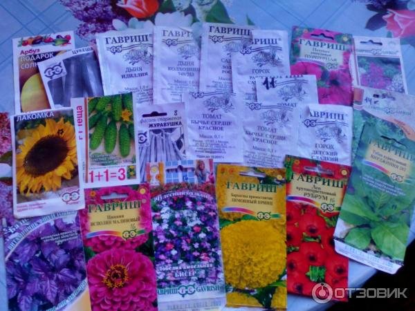 Семена Гавриш ассортимент