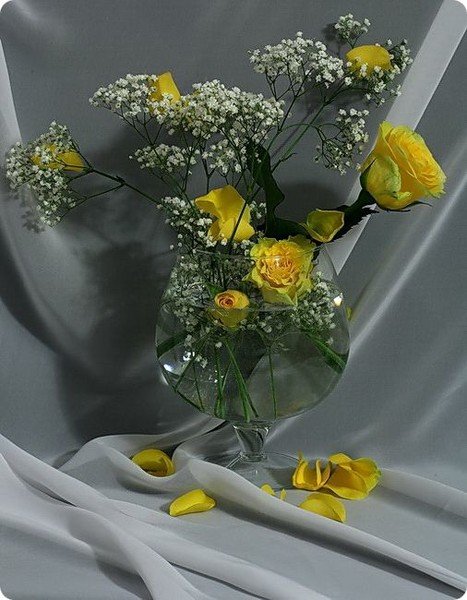 Цветы с пожеланием спокойной ночи