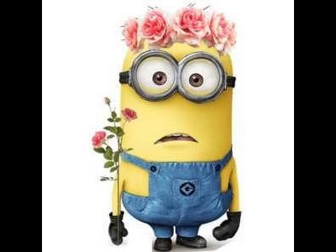 Миньон с цветами