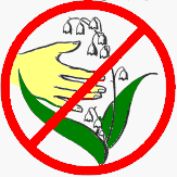 Природоохранные знаки для детей раскраски