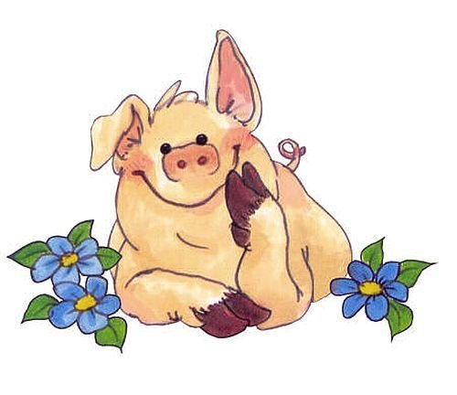Картинки свинка с цветами (61 фото)