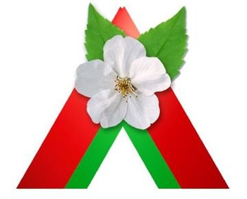 Яблоневый цвет символ Победы
