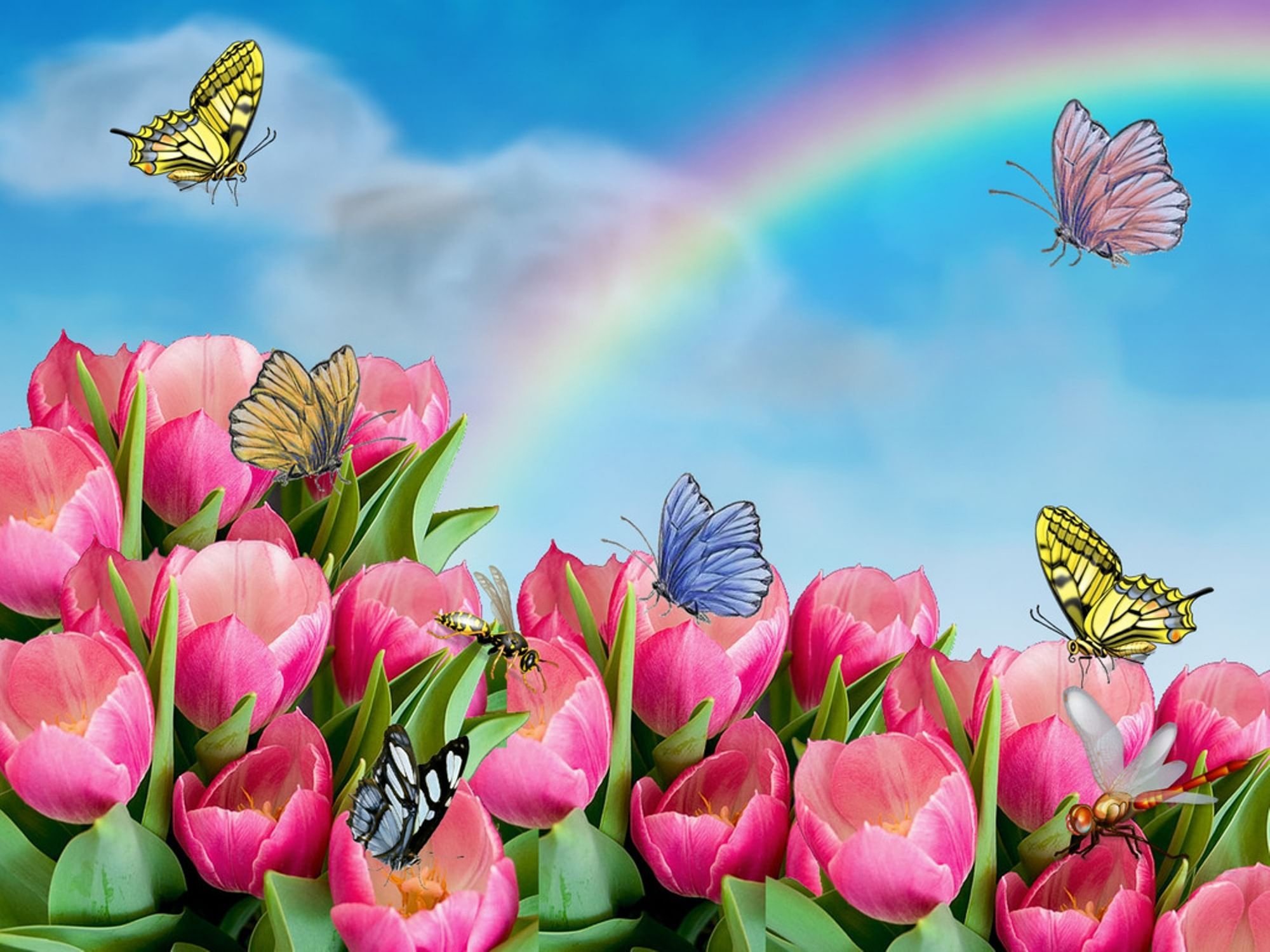 С днем рождения женщине весной красивые. С днем рождения. Открытка с днём рождения. Фон тюльпаны с бабочками. С днём рождения красивые открытки.