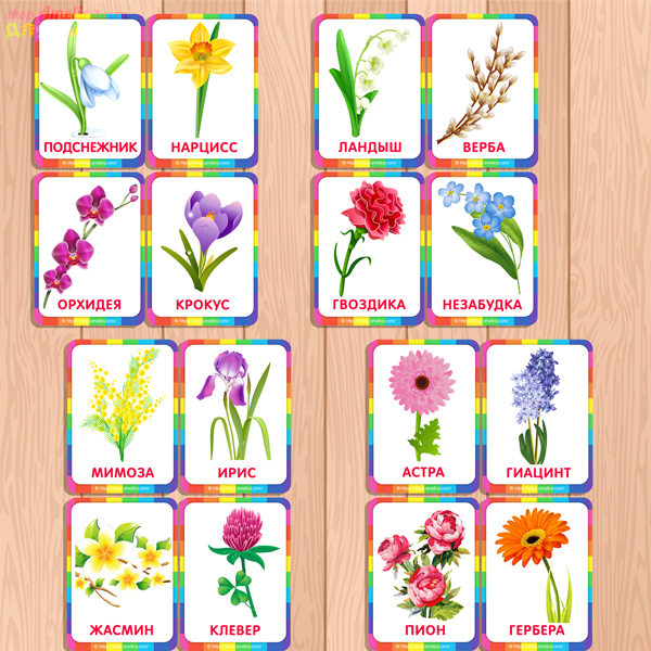 Весенние цветы карточки для детей