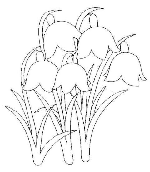 Подснежник раскраска