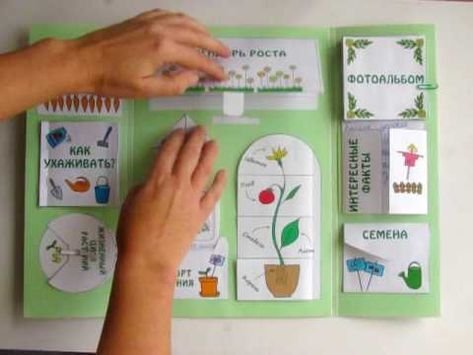 Идеи для лэпбука