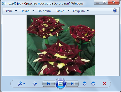 Акушерские щипцы Чемберлена