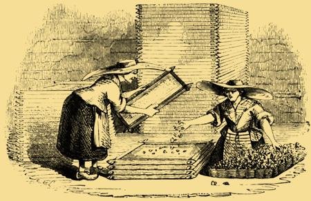 Кровный сгусток в лунке удаленного зуба