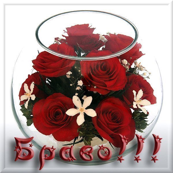 Открытки Браво с цветами