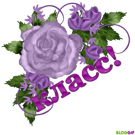 Восхищение красотой цветов