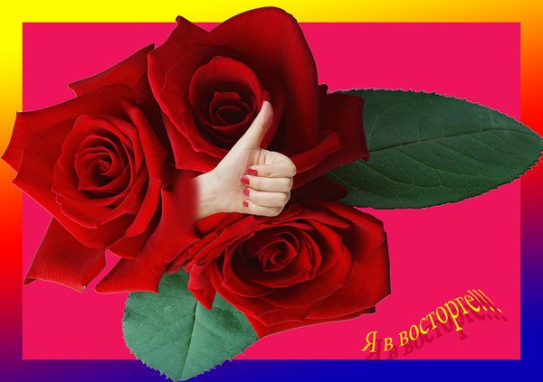 Спасибо я в восторге