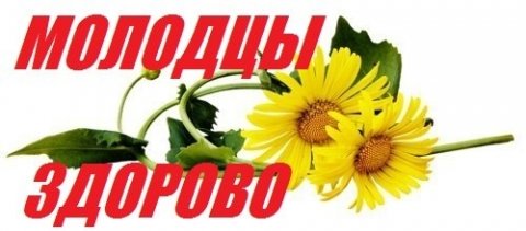 Браво молодцы