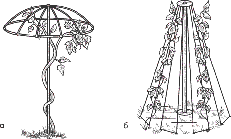 Опоры для высоких цветов