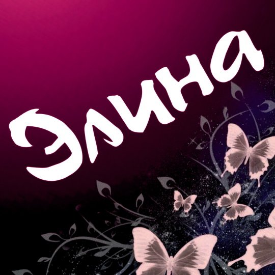 Надпись Элина