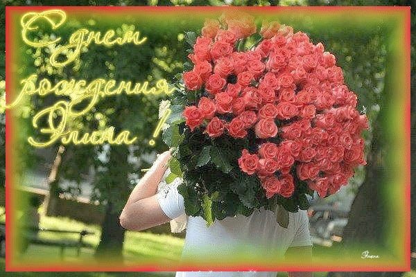 Элина с днем рождения