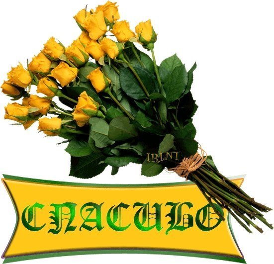 Спасибо ромашки