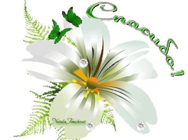 Картинки цветы в благодарность (51 фото)