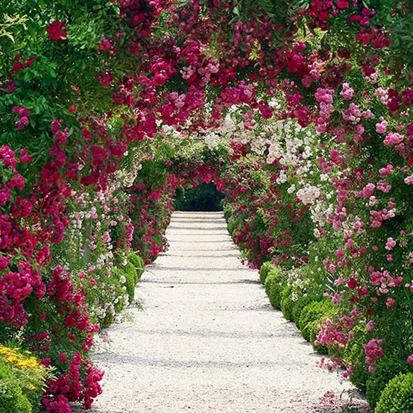 Арка с цветами