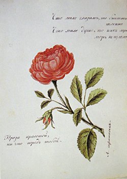 Портрет Пушкина в профиль