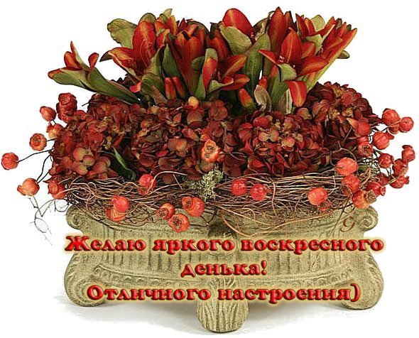 Открытки прекрасного воскресенья