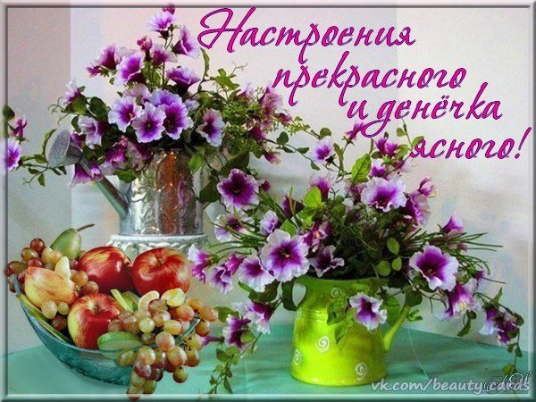 Воскресного денечка и отличного настроения
