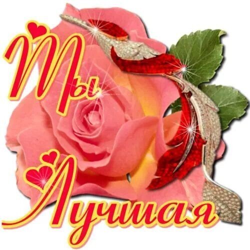 Цветы для подруги