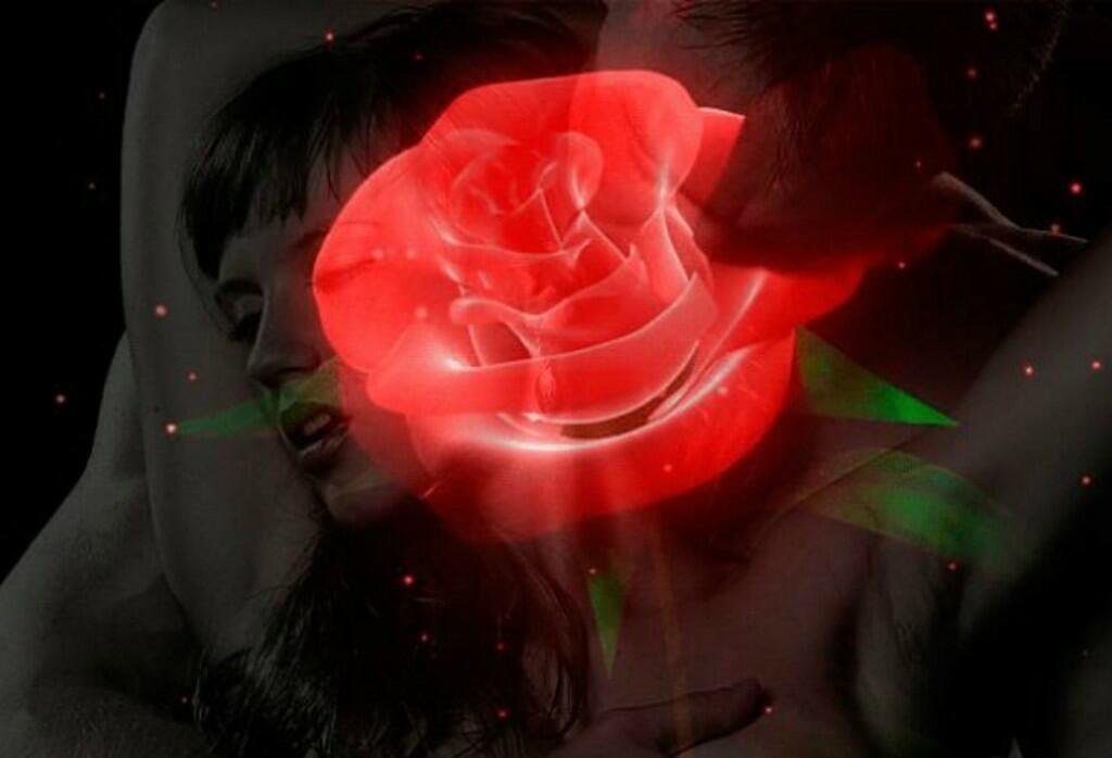 Красивая гиф видео. Поцелуй розы. Женщина с розами. Цветы любовь страсть. Очень красивые гифки.