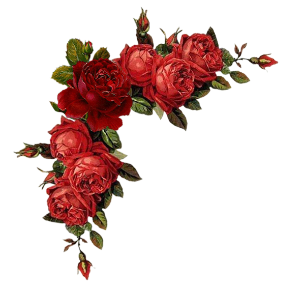 Цветы уголок