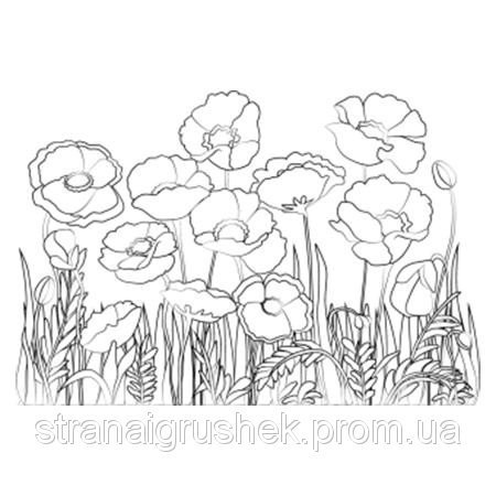 Раскраска луг с цветами