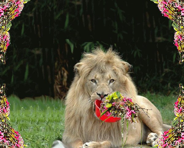 Лев тату эскиз