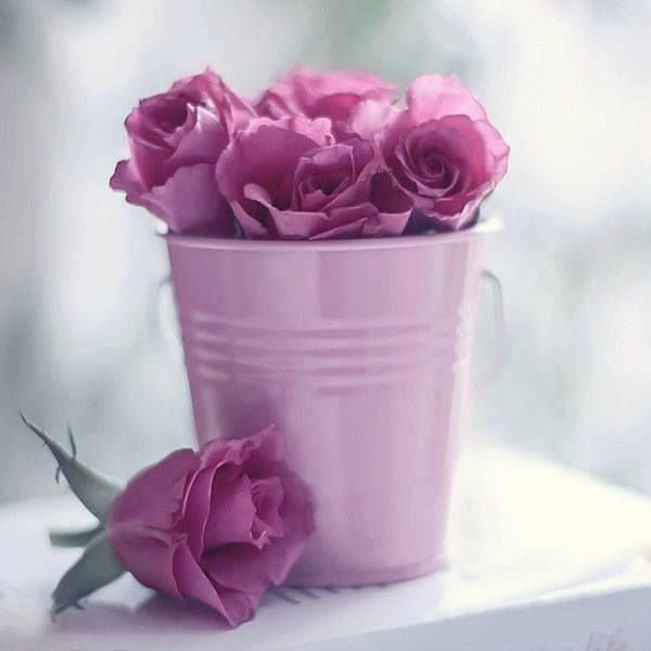 Цветы в ведре