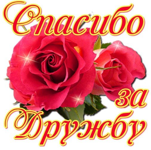 Огромный букет с пожеланиями