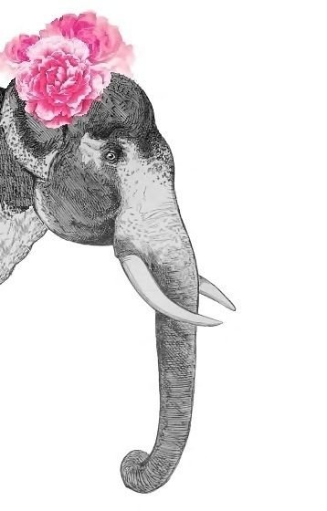 Раскраска Для самых маленьких (пингвиненок) — Для самых маленьких — Розовый слон — Купить за ₸
