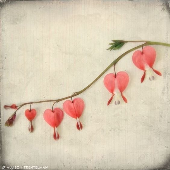 Разбитое сердце стикер