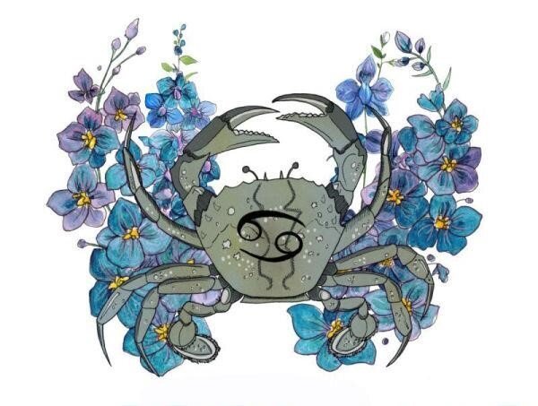 Знак зодиака рачок на цветке