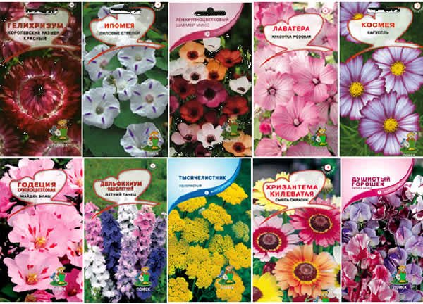 Семена цветов упаковка