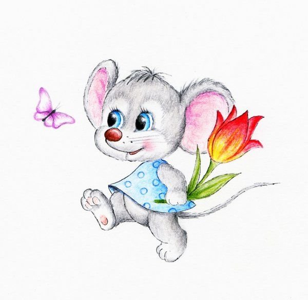 Мышка полевка белая