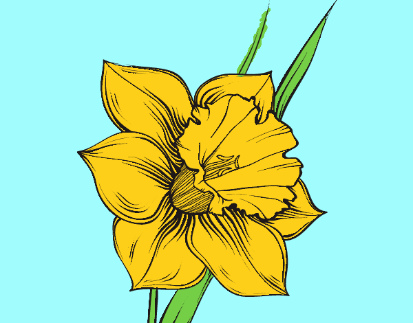 Нарцисс стилизация