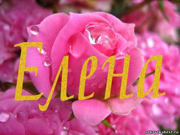 Цветы для Леночки