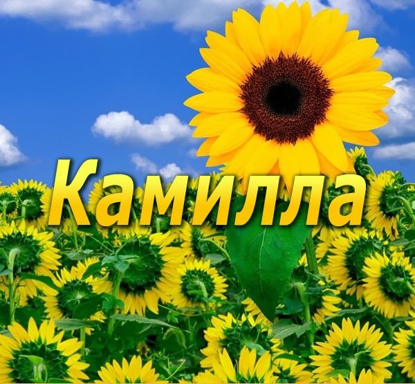 С днём рождения Маруся открытки